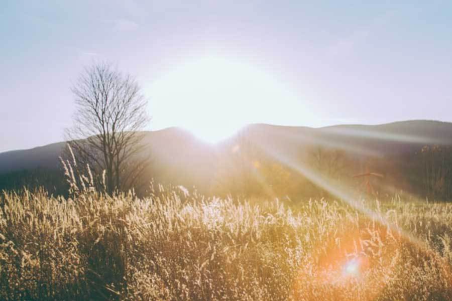 杭州亚运会筹备工作进入最后冲刺阶段